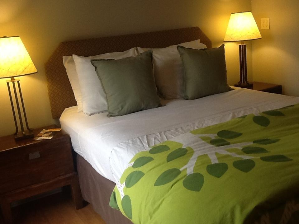 Zenyard Guest House Phoenix Cameră foto